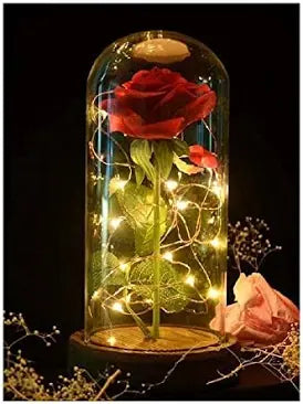 Enchanted Rose in a Glass Dome