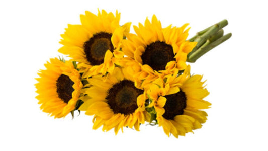 Sunflower Bouquet
