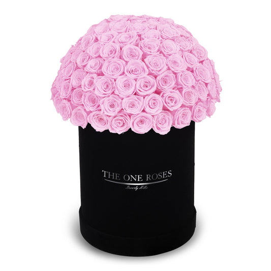 Suede Dome Deluxe | Premium Black Box