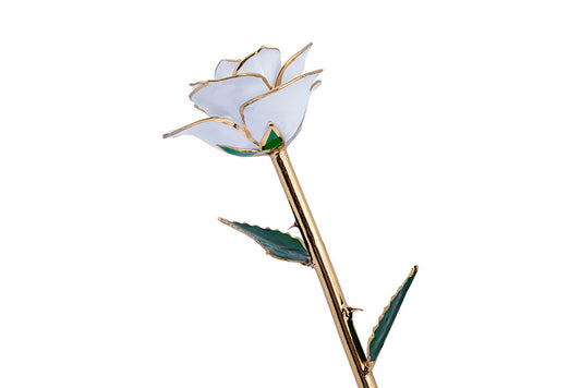 24K Gold Dipped Rose - Hearts Desire