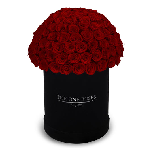 Suede Dome Deluxe | Premium Black Box