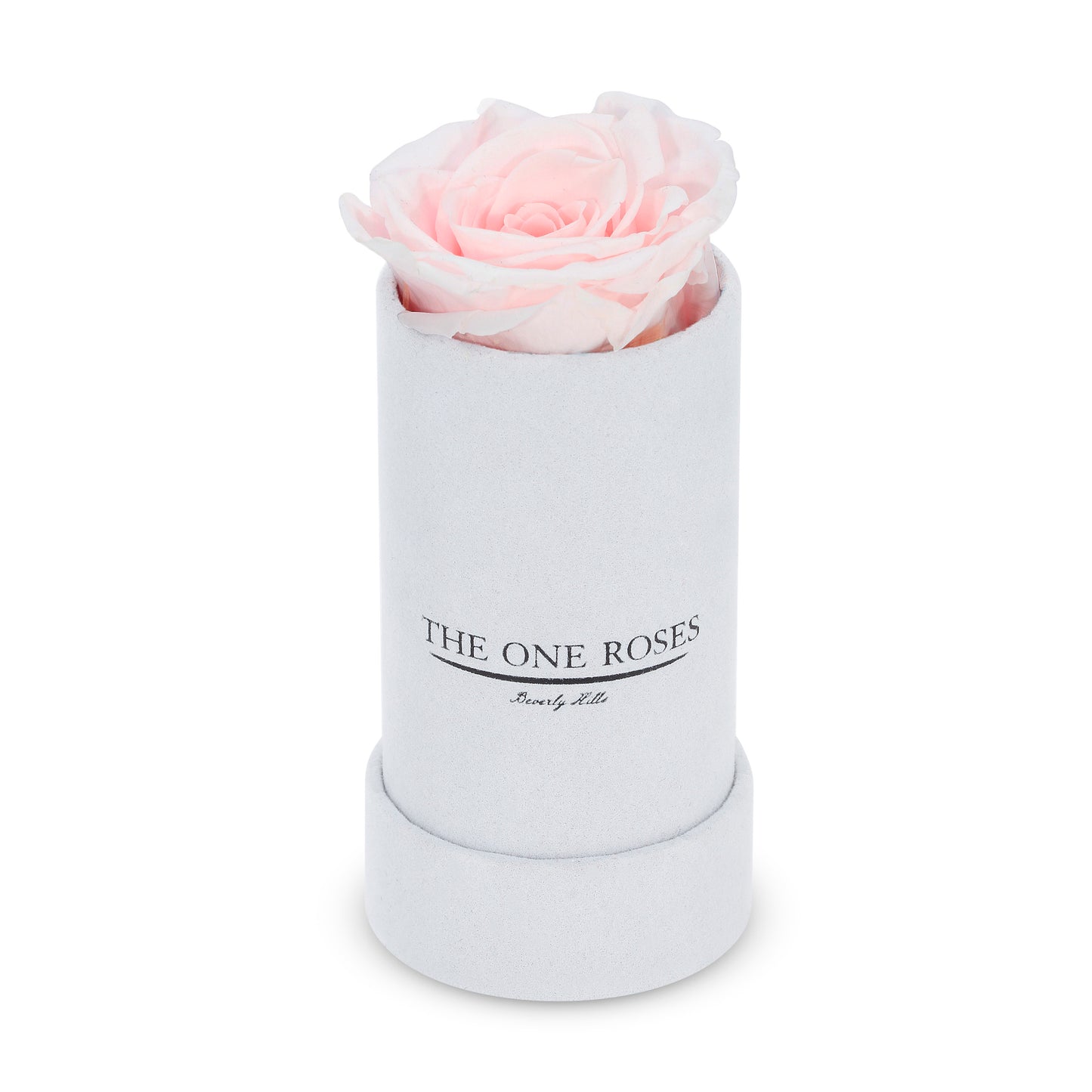 Suede Single | The One White Box