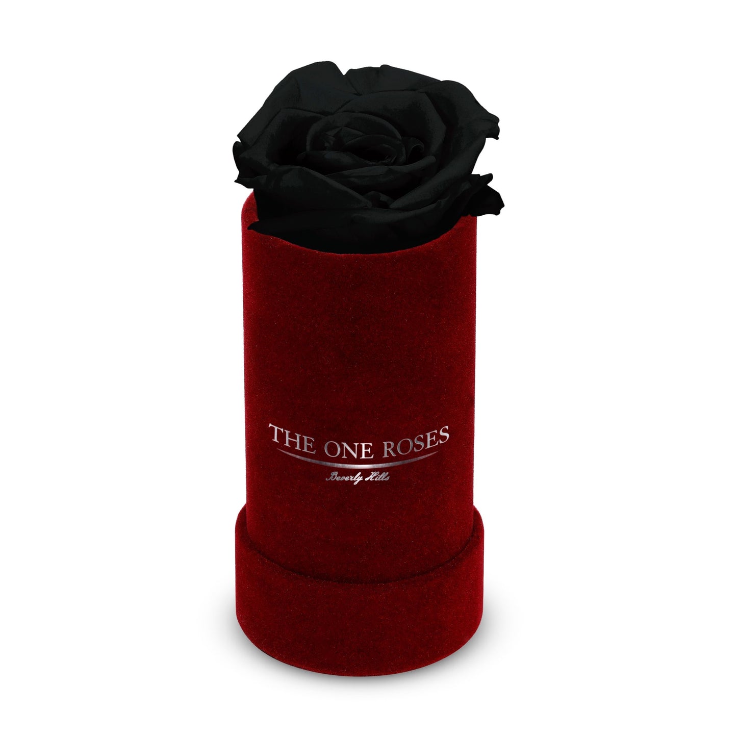Suede Single | The One Burgundy Box