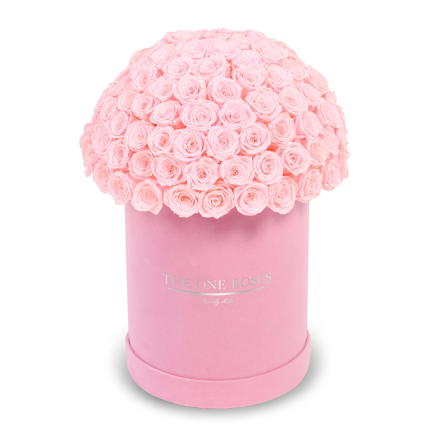 Suede Dome Deluxe | Premium Pink Box