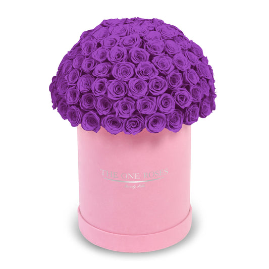 Suede Dome Deluxe | Premium Pink Box