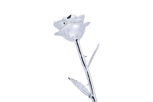 24k Gold Dipped Rose - Ice Castle