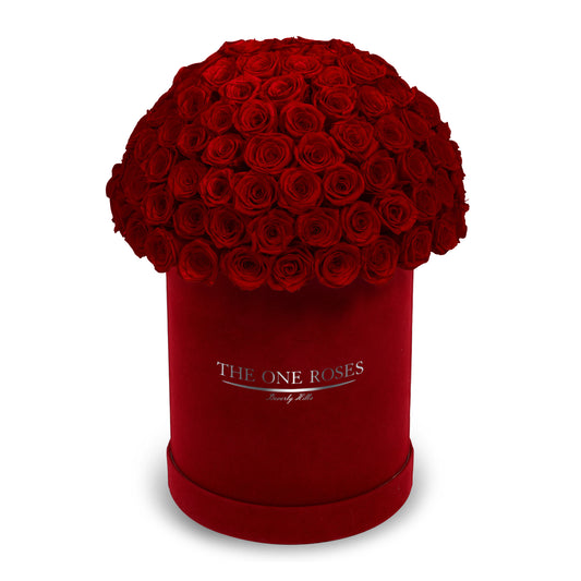 Suede Dome Deluxe | Premium Burgundy Box