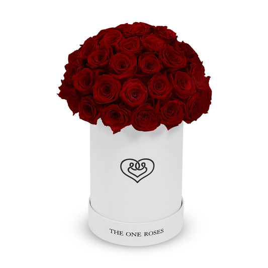Round Dome | Basic White Box