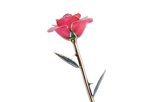 24k Gold Dipped Rose - Pink Perfection