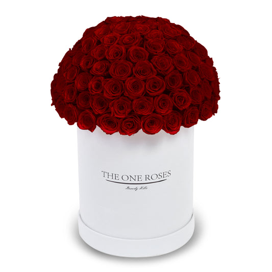 Suede Dome Deluxe | Premium White Box