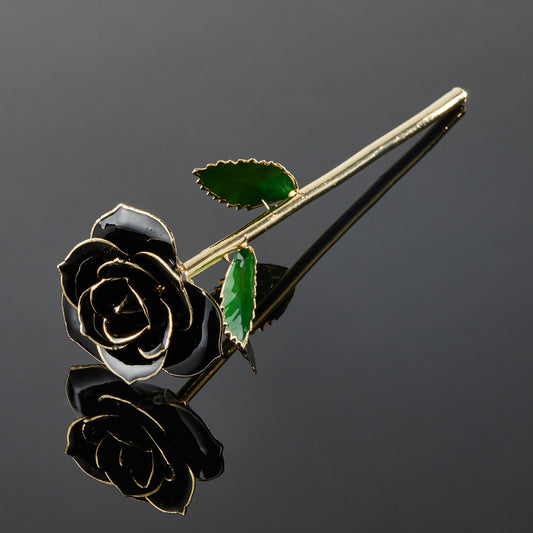 24k Gold Dipped Rose - Midnight Black