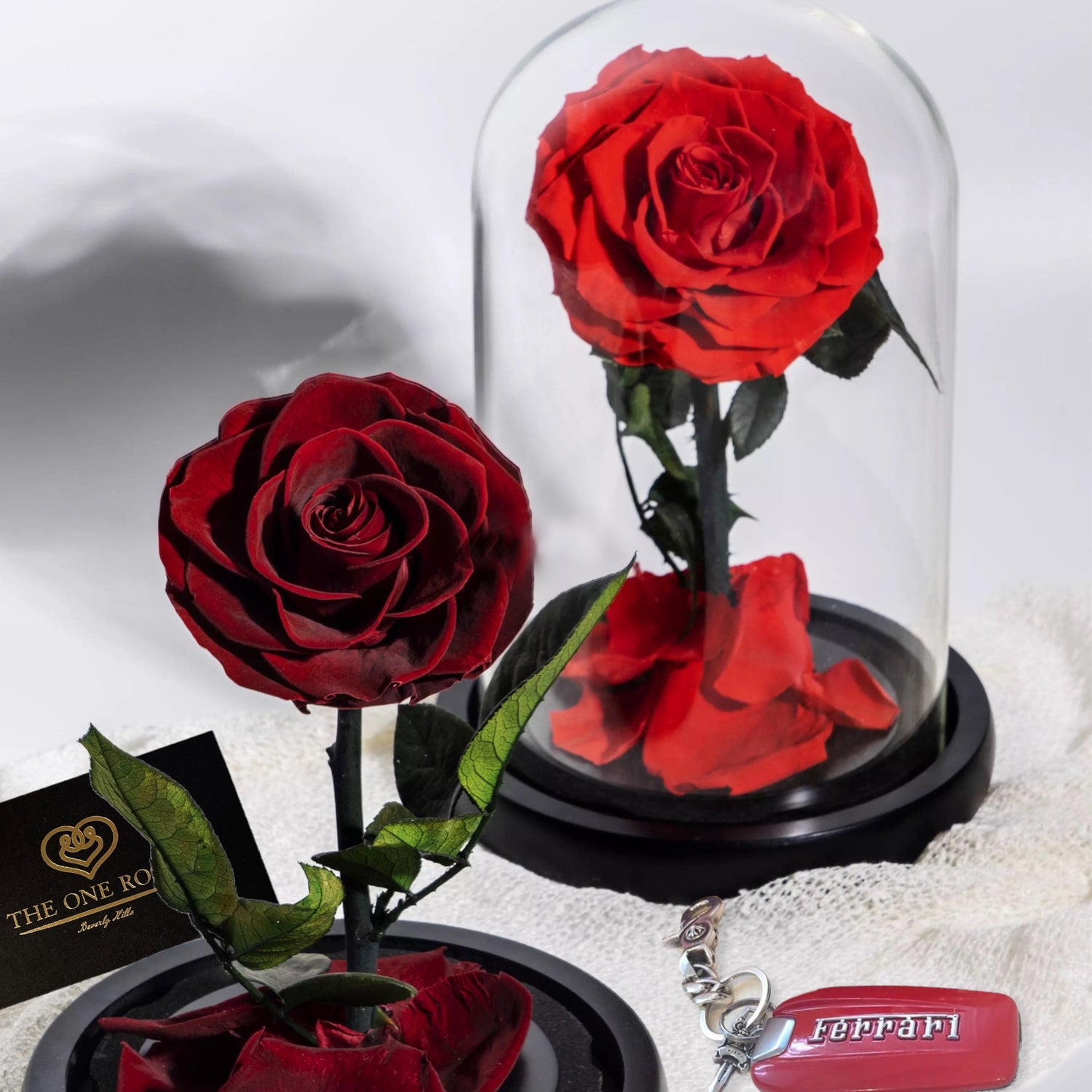 Enchanted Rose In A Glass Dome