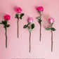 Pink Petal Roses Bouquet