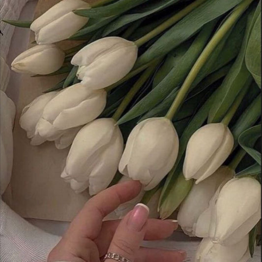 9 Stem Tulips