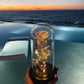 Enchanted Galaxy Rose in a Glass Dome