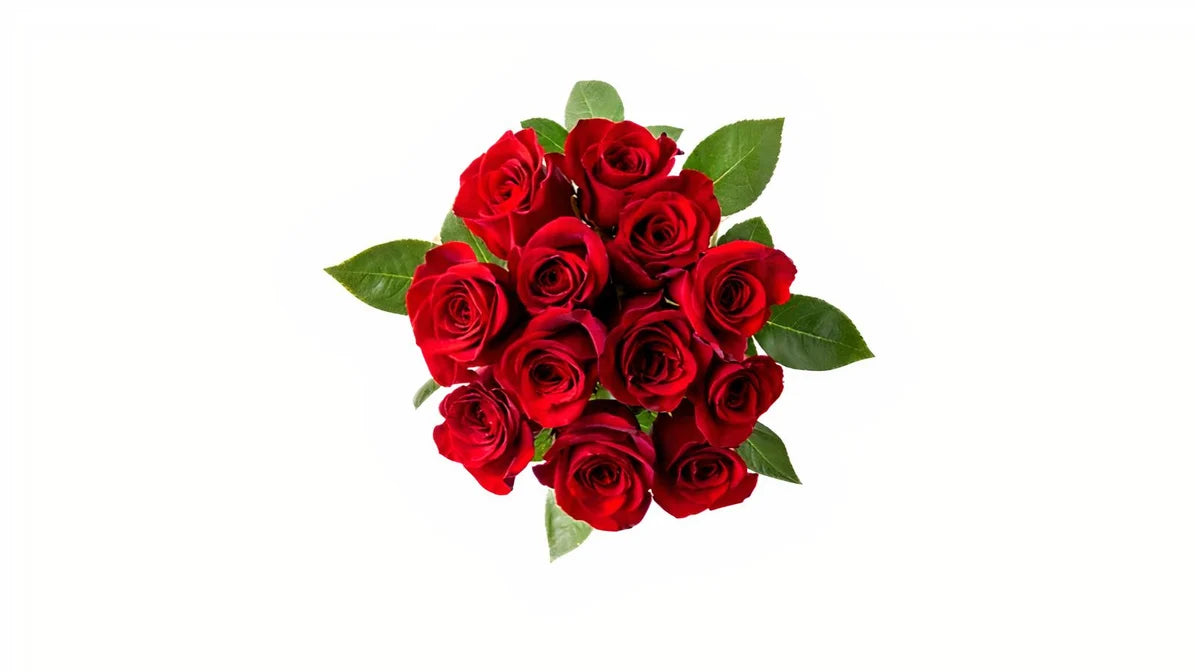 The One Rose Bouquet