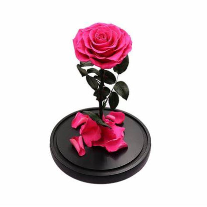 Enchanted Rose in a Glass Dome
