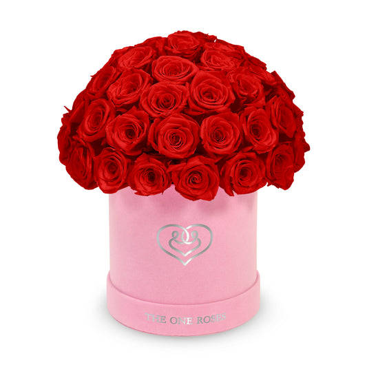 Suede Dome | Basic Pink Box