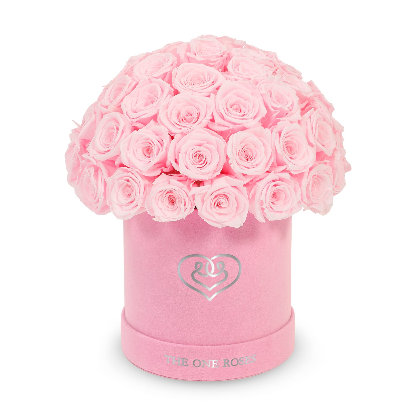 Suede Dome | Basic Pink Box