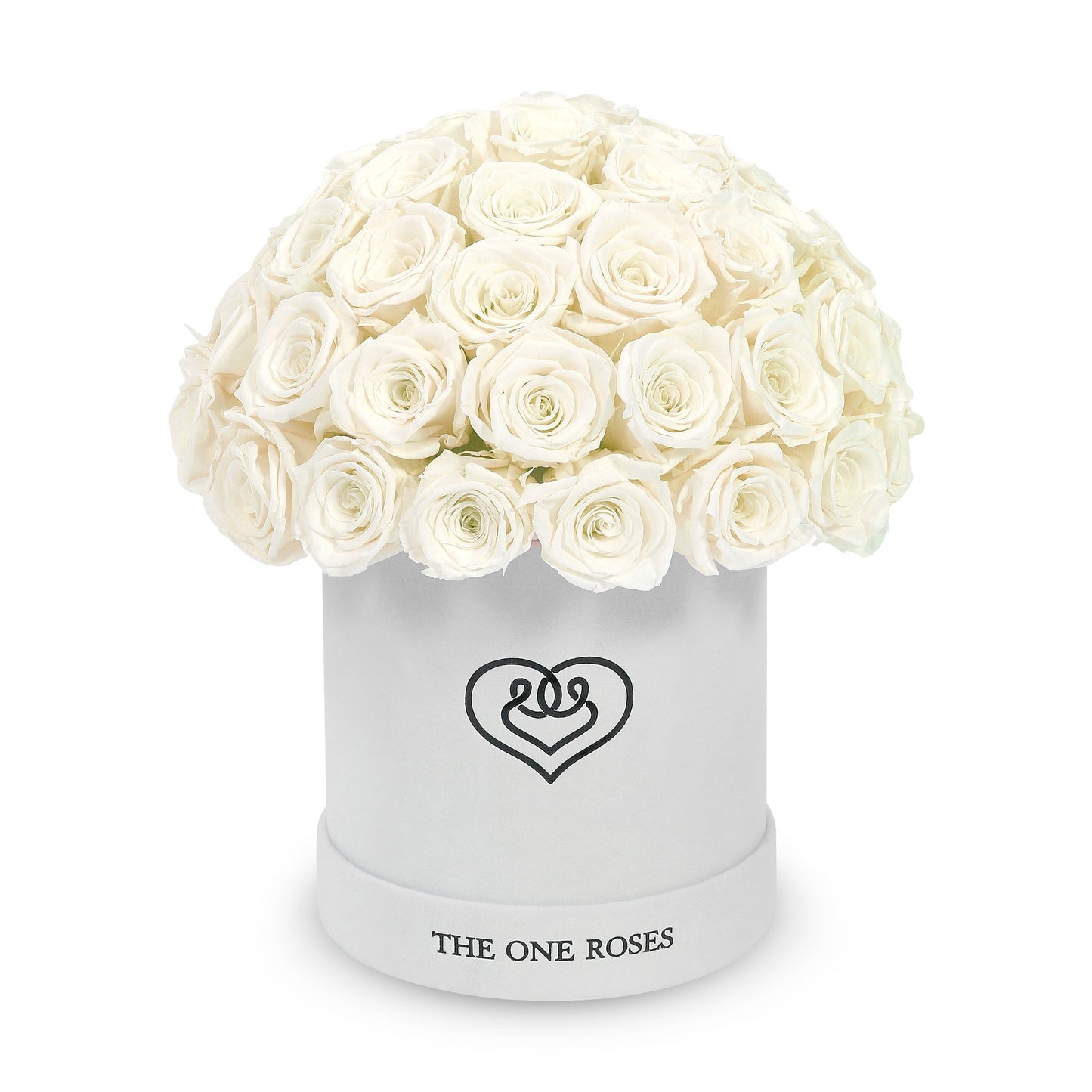 Suede Dome | Basic White Box