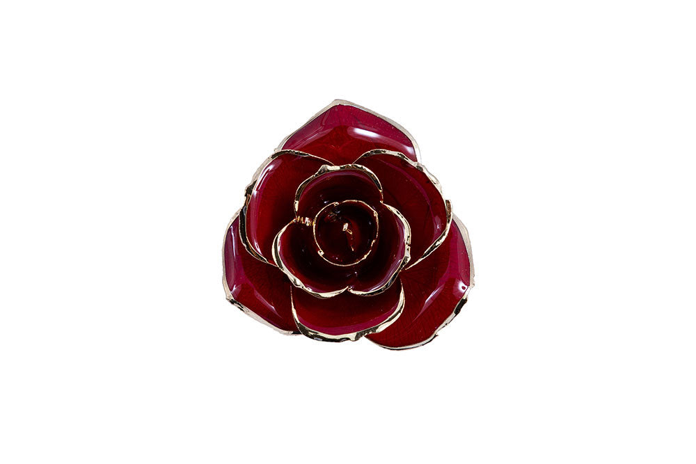 24k Gold Dipped Rose - Holiday Rose