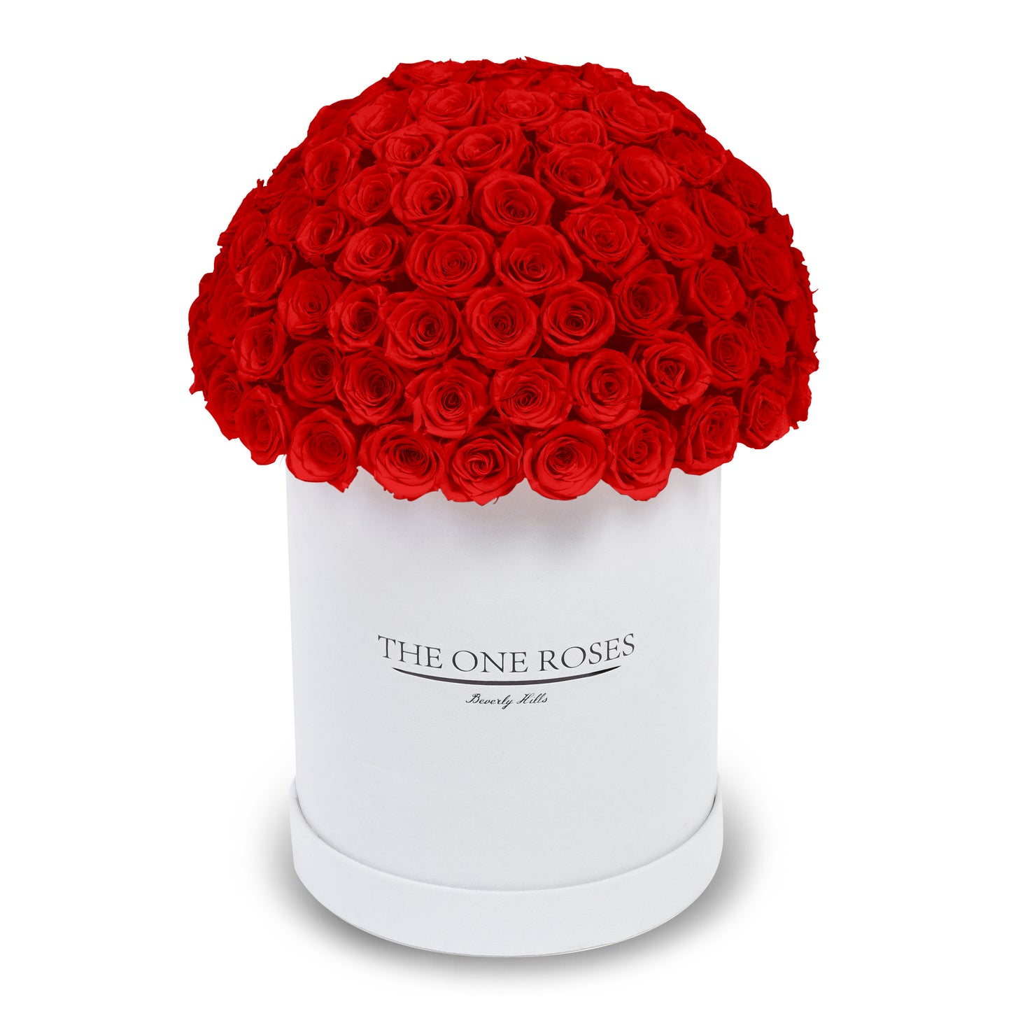 Suede Dome Deluxe | Premium White Box