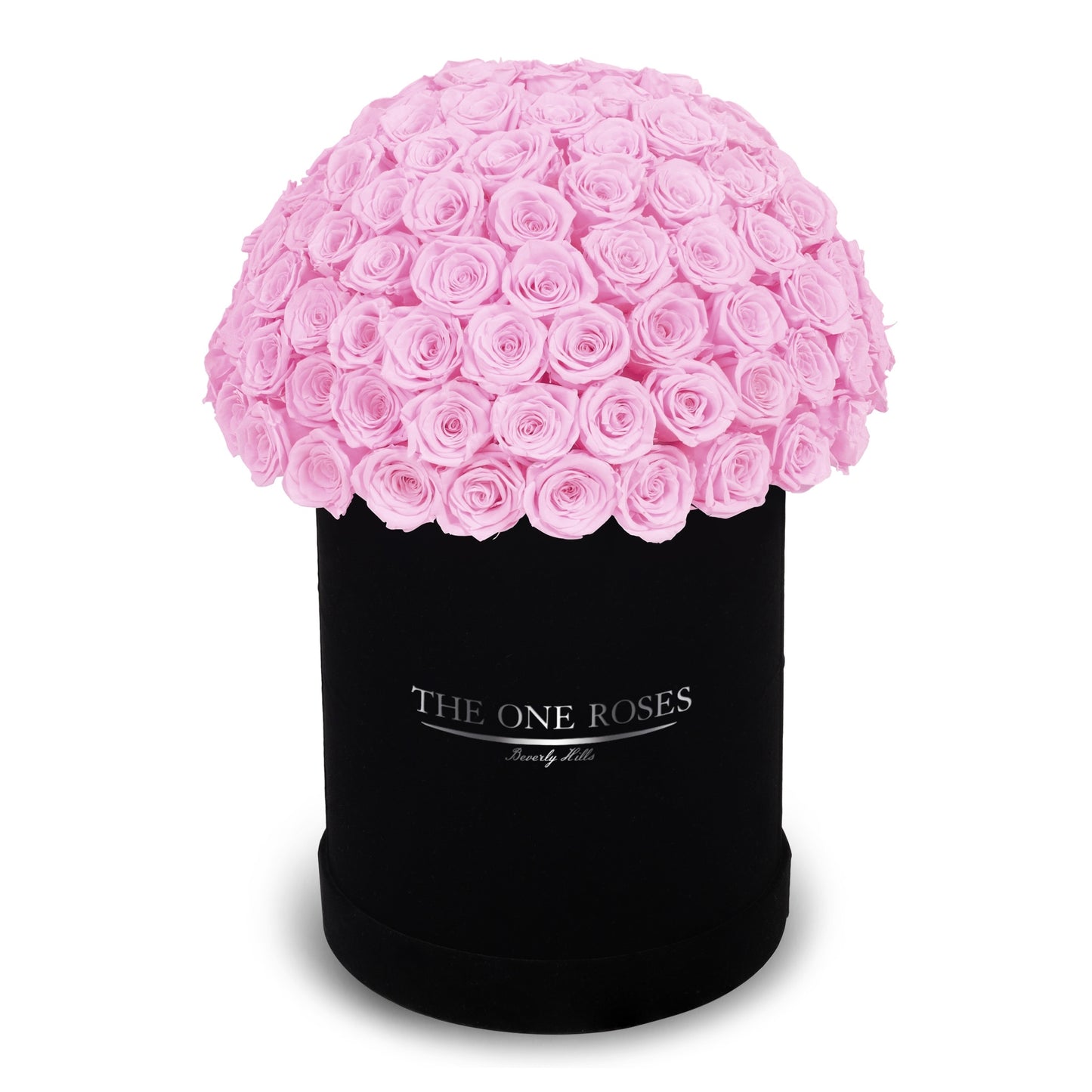 Suede Dome Deluxe | Premium Black Box