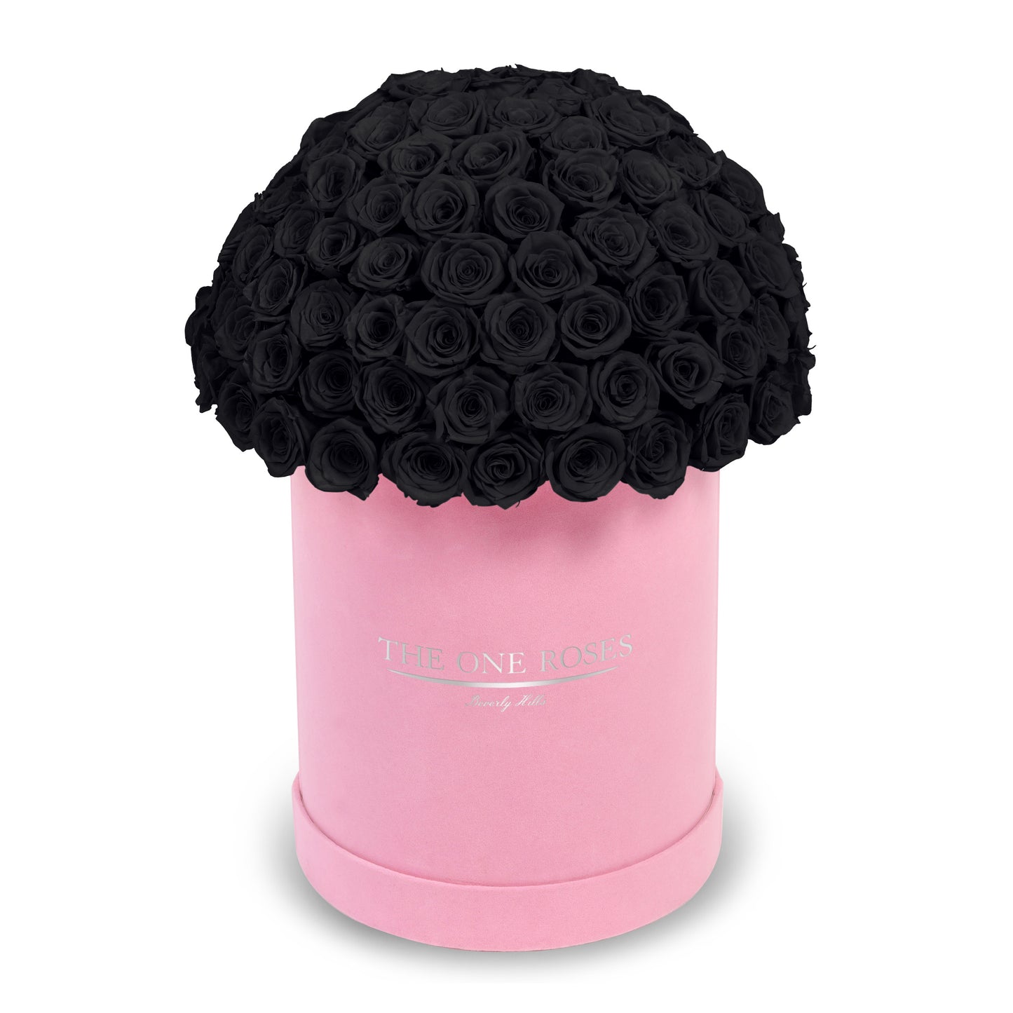Suede Dome Deluxe | Premium Pink Box