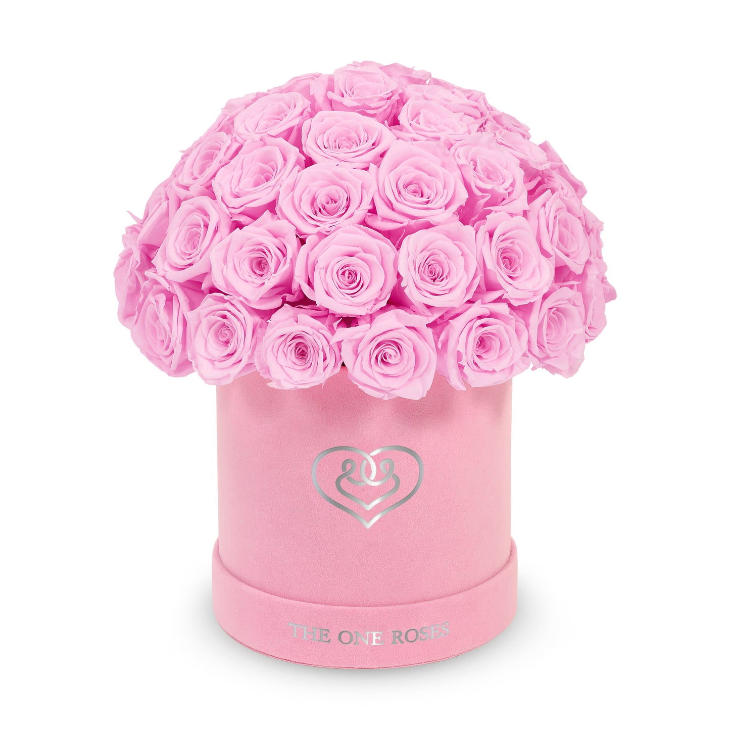 Suede Dome | Basic Pink Box