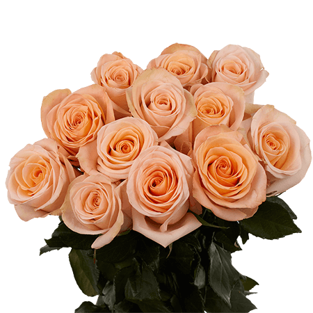The One Rose Bouquet