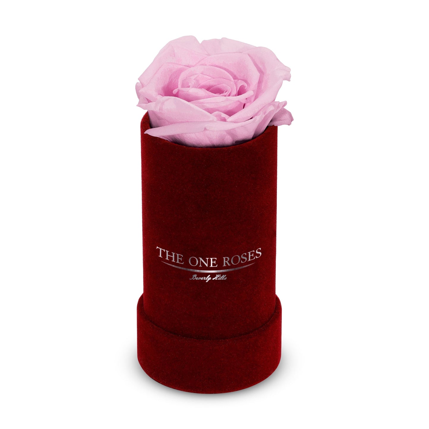 Suede Single | The One Burgundy Box