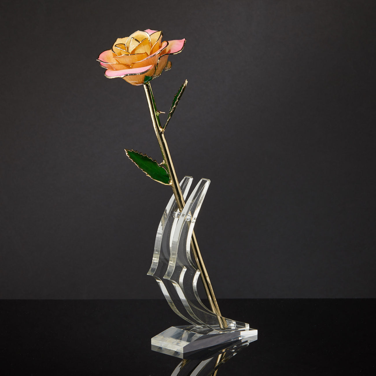 24k Gold Dipped Rose - Peaches and Cream