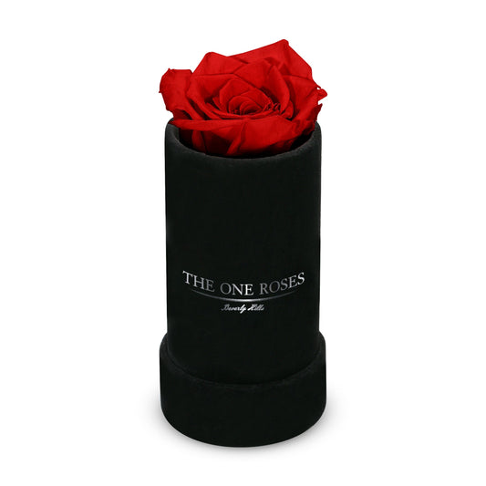Suede Single | The One Black Box