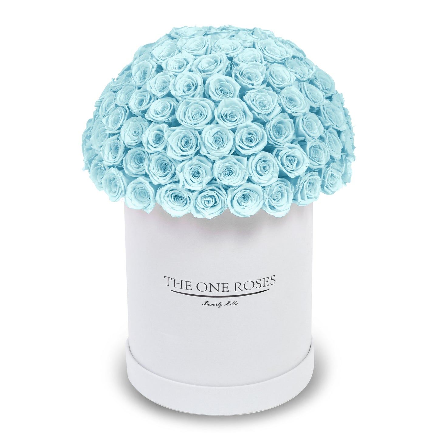 Suede Dome Deluxe | Premium White Box
