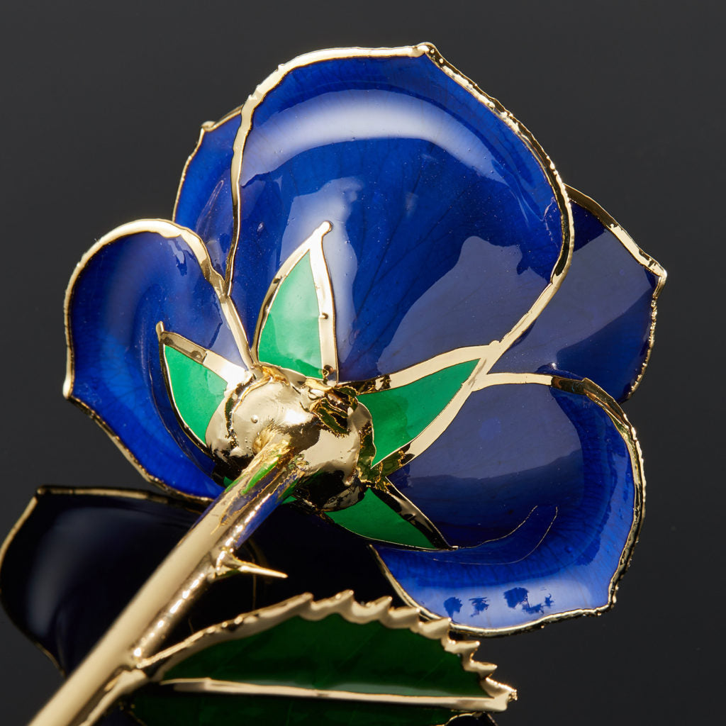 24K Gold Dipped Rose - Blue Velvet