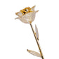 24k Gold Dipped Rose - Gold