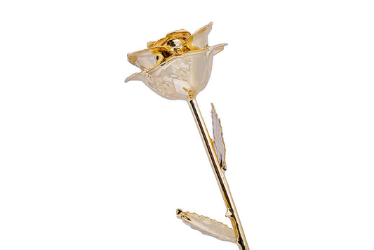 24k Gold Dipped Rose - Gold