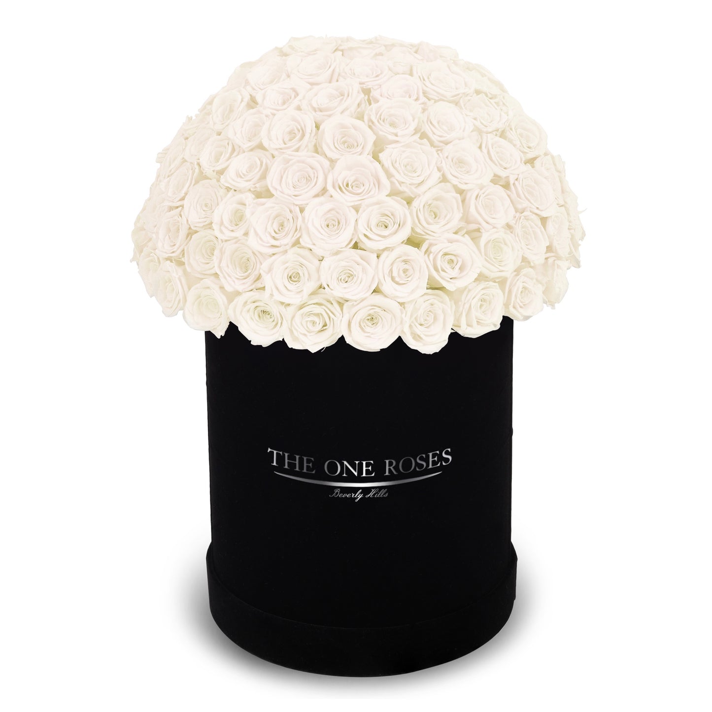 Suede Dome Deluxe | Premium Black Box
