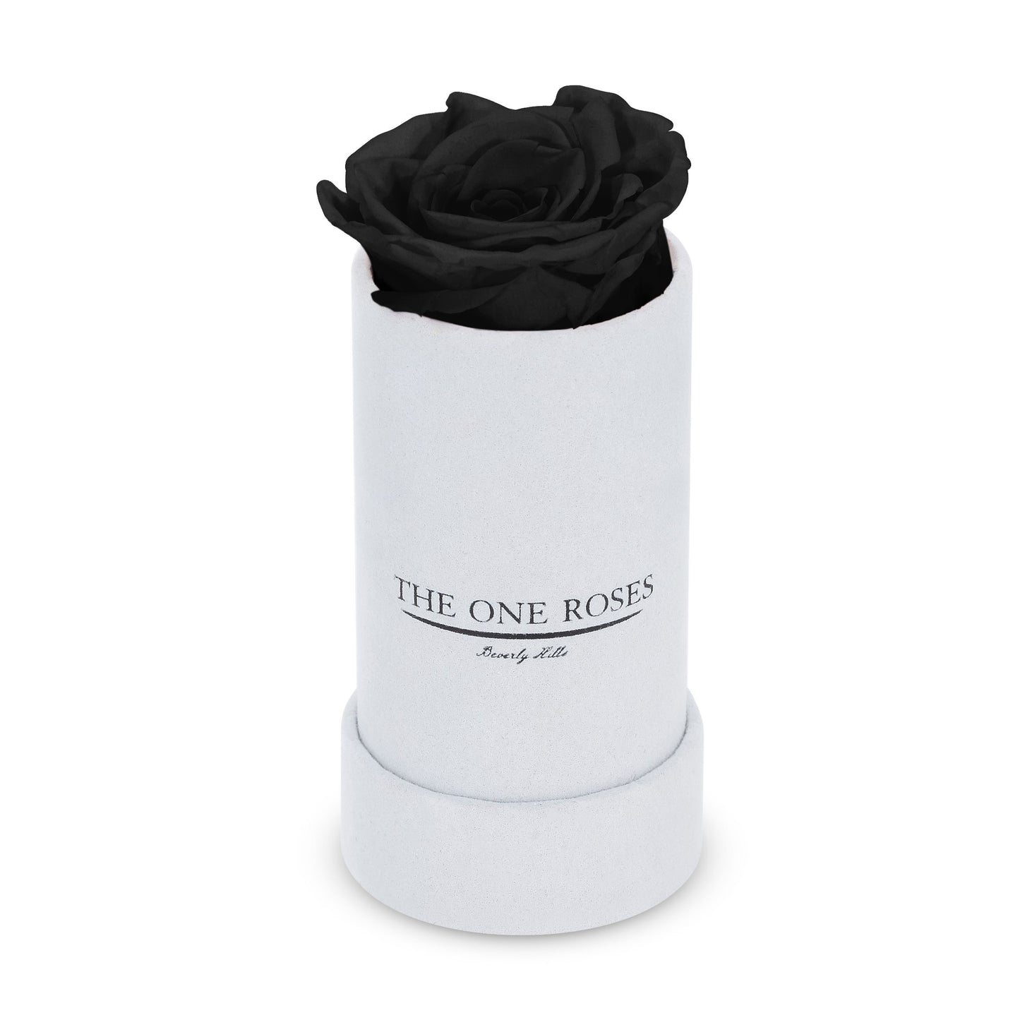 Suede Single | The One White Box