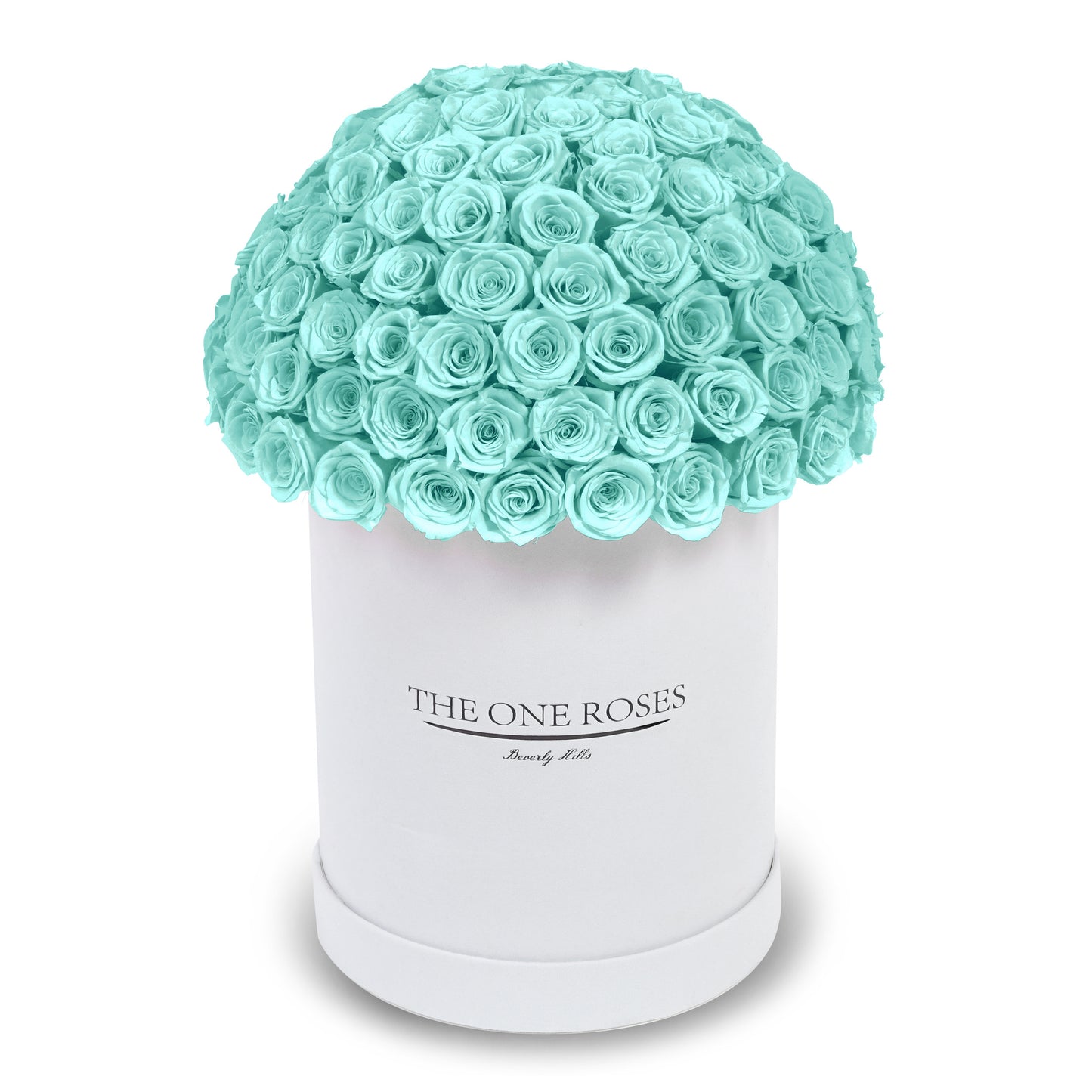 Suede Dome Deluxe | Premium White Box