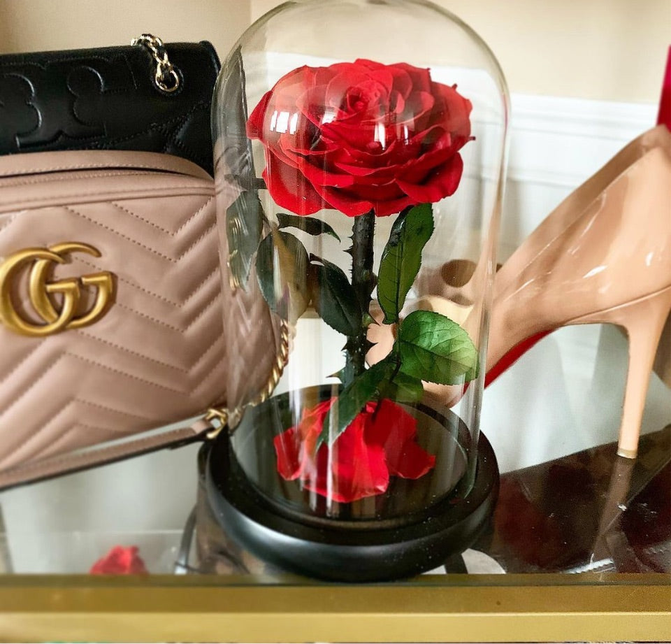 Enchanted Rose in a Glass Dome