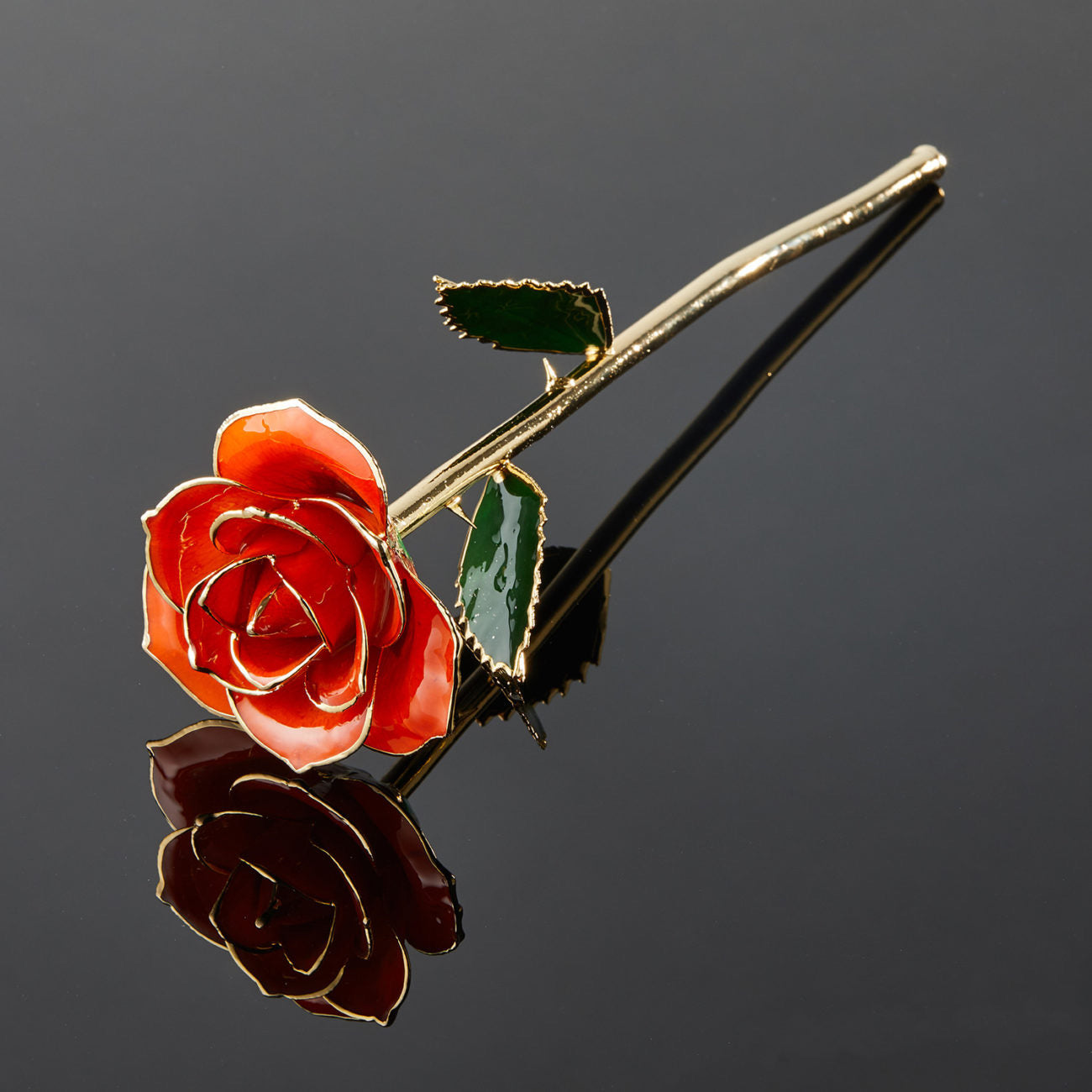 24k Gold Dipped Rose - Tangerine Dream