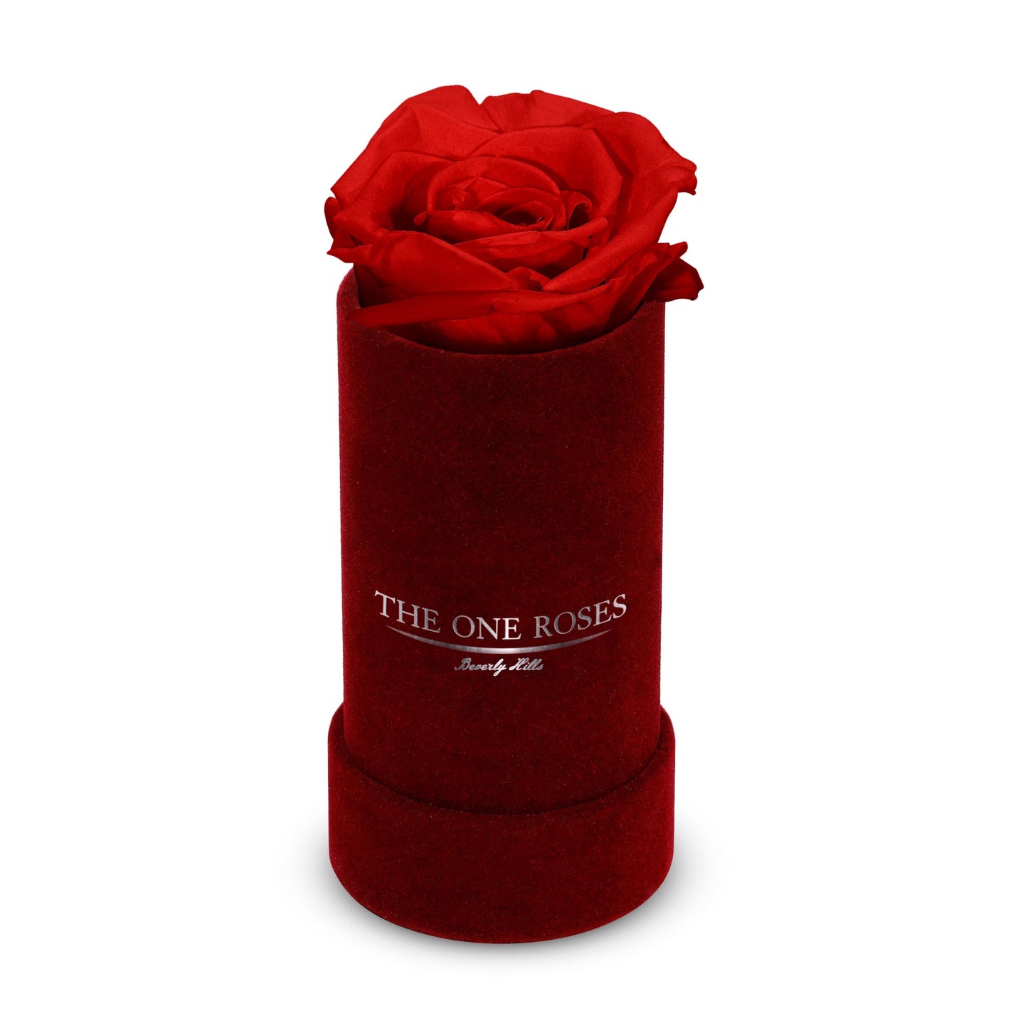 Suede Single | The One Burgundy Box