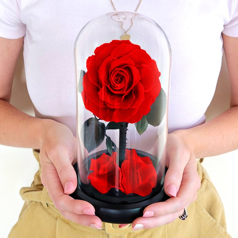 Enchanted Rose in a Glass Dome