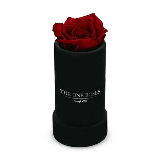 Suede Single | The One Black Box