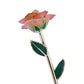 24k Gold Dipped Rose - Peaches and Cream