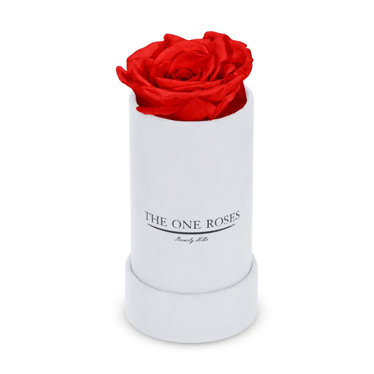 Suede Single | The One White Box