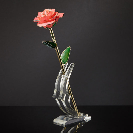 24k Gold Dipped Rose - Pink Perfection