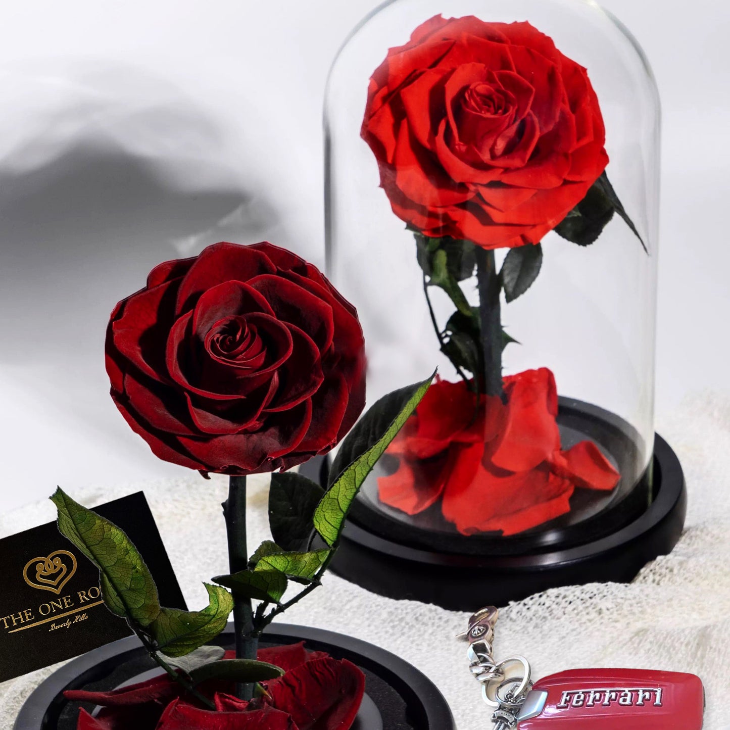 Enchanted Rose in a Glass Dome