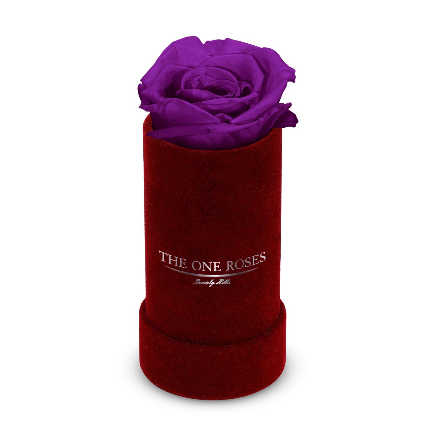 Suede Single | The One Burgundy Box